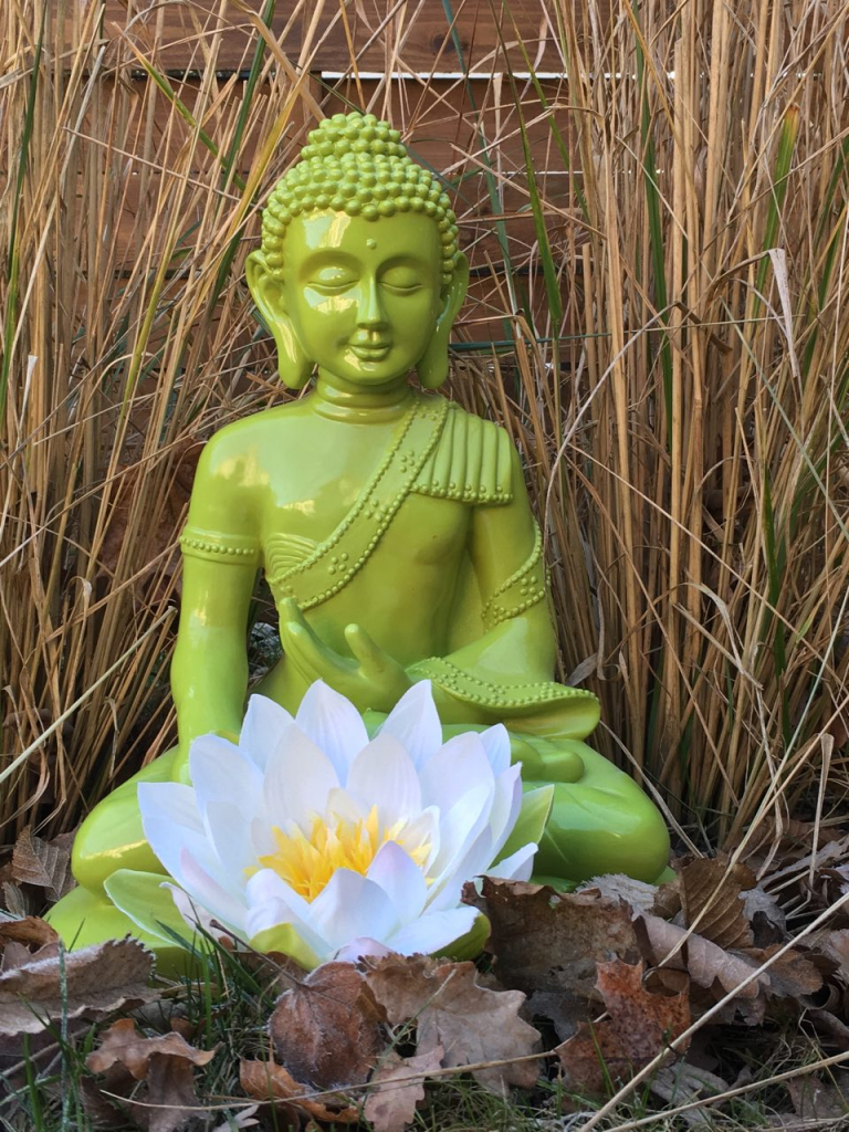 Ihre Reiki Meisterin/Lehrerin Birgit Bauer